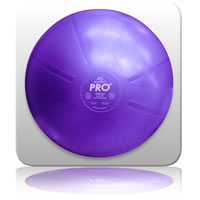 medi-Dura Ball Pro 45cm - Purple